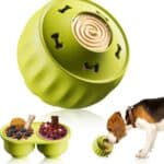 Frozen Dog Treat Toy to Keep Them