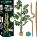 KBrands 2 Pack 28 Inches Bendable Moss