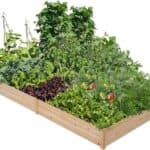 Yaheetech 8x4ft Wooden Horticulture Raised Garden Bed