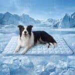 Bedsure Cooling Mat for Large Dogs –
